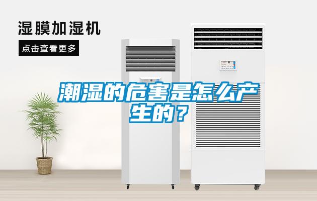 潮濕的危害是怎么產(chǎn)生的？