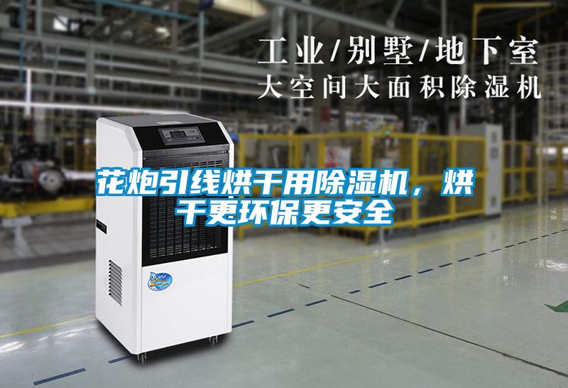 花炮引線(xiàn)烘干用除濕機，烘干更環(huán)保更安全