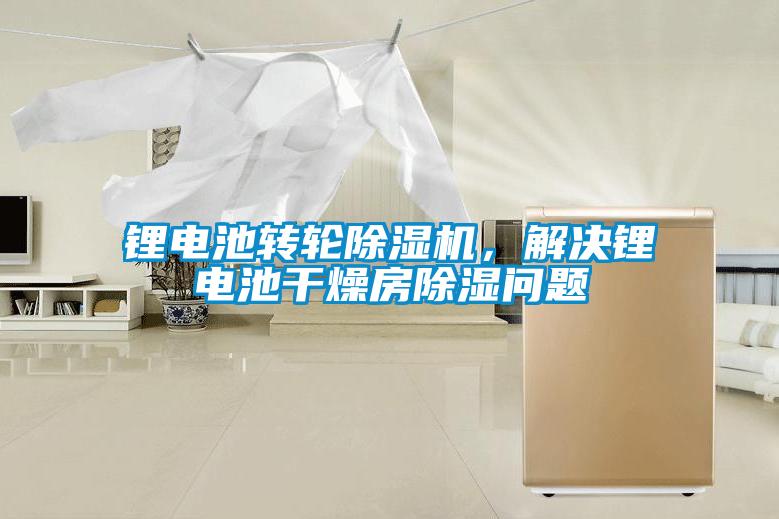 鋰電池轉輪除濕機，解決鋰電池干燥房除濕問(wèn)題