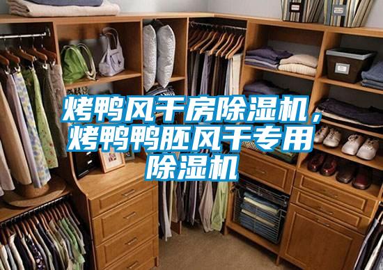 烤鴨風(fēng)干房除濕機，烤鴨鴨胚風(fēng)干專(zhuān)用除濕機