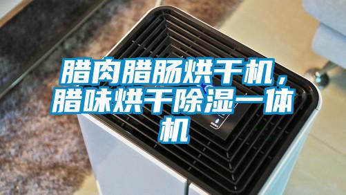 臘肉臘腸烘干機，臘味烘干除濕一體機