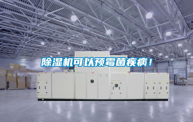 除濕機可以預霉菌疾??！