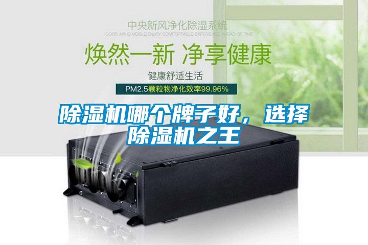 除濕機哪個(gè)牌子好，選擇除濕機之王