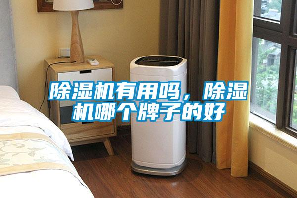 除濕機有用嗎，除濕機哪個(gè)牌子的好