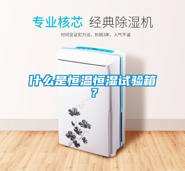 什么是恒溫恒濕試驗箱？