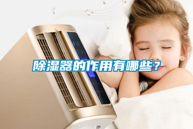 除濕器的作用有哪些？