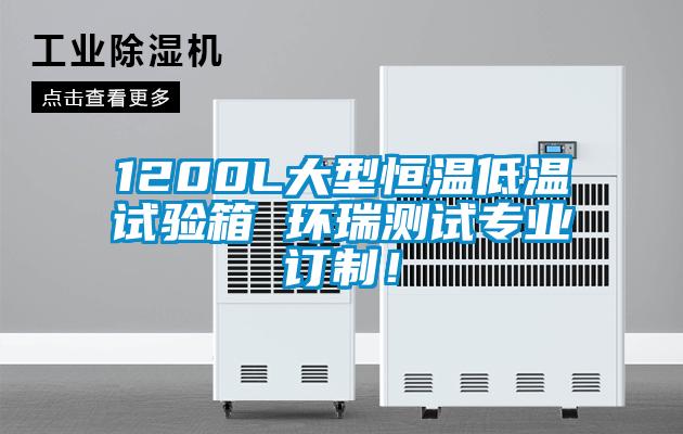 1200L大型恒溫低溫試驗箱 環(huán)瑞測試專(zhuān)業(yè)訂制！