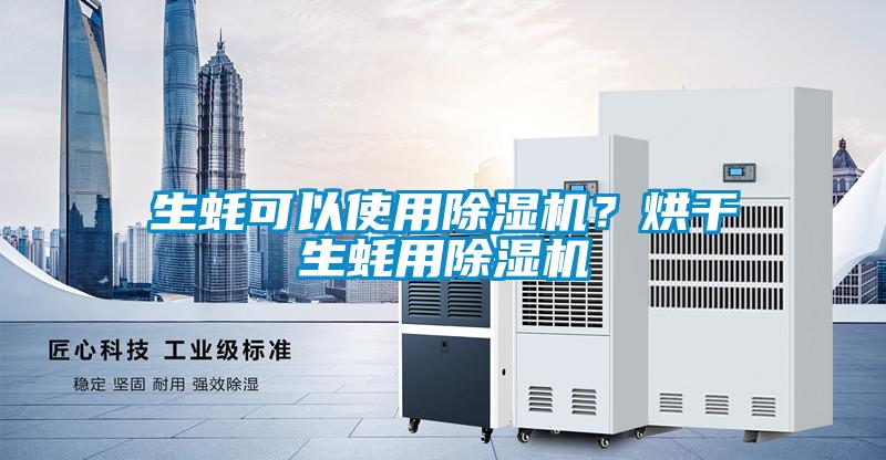生蠔可以使用除濕機？烘干生蠔用除濕機