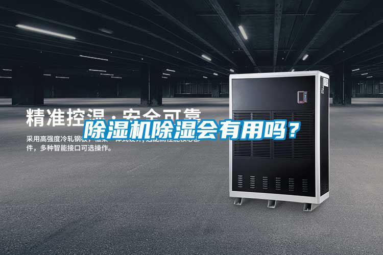 除濕機除濕會(huì )有用嗎？