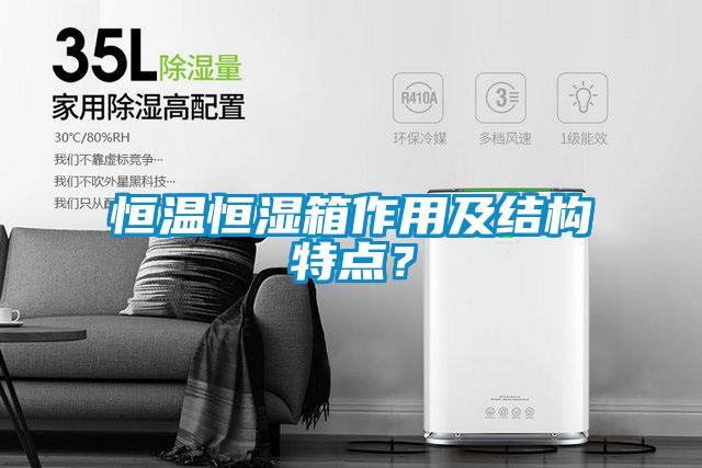 恒溫恒濕箱作用及結構特點(diǎn)？