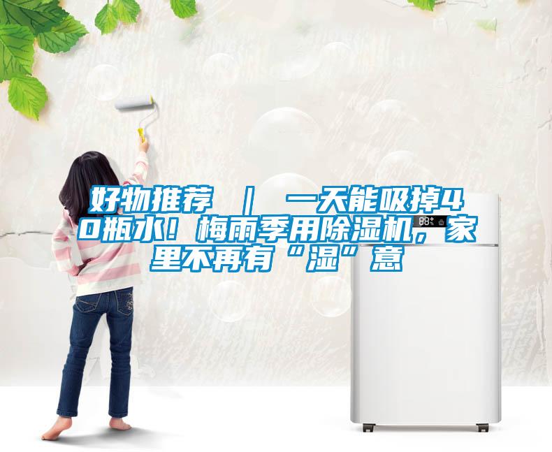 好物推薦 ｜ 一天能吸掉40瓶水！梅雨季用除濕機，家里不再有“濕”意