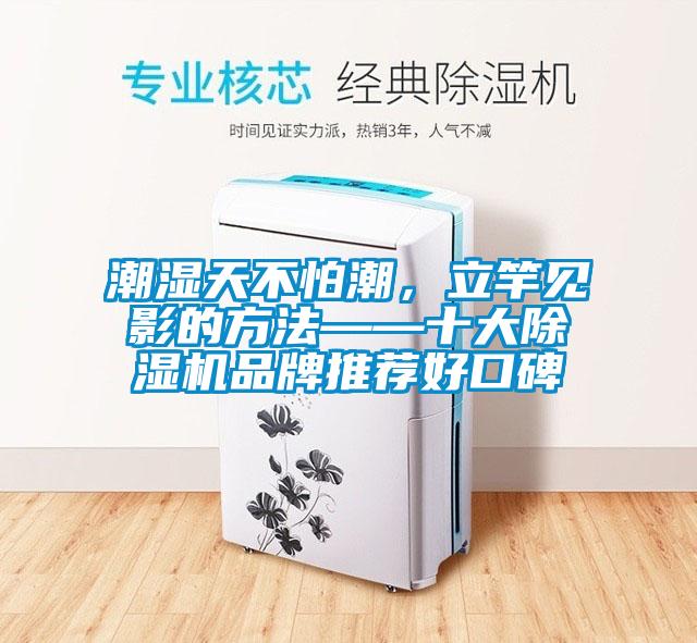 潮濕天不怕潮，立竿見(jiàn)影的方法——十大除濕機品牌推薦好口碑
