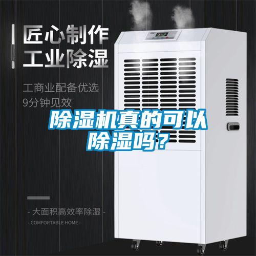 除濕機真的可以除濕嗎？
