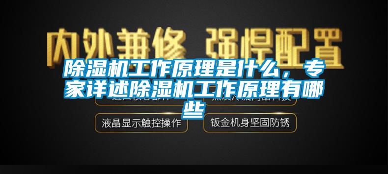 除濕機工作原理是什么，專(zhuān)家詳述除濕機工作原理有哪些