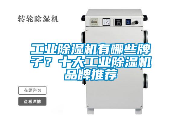 工業(yè)除濕機有哪些牌子？十大工業(yè)除濕機品牌推薦