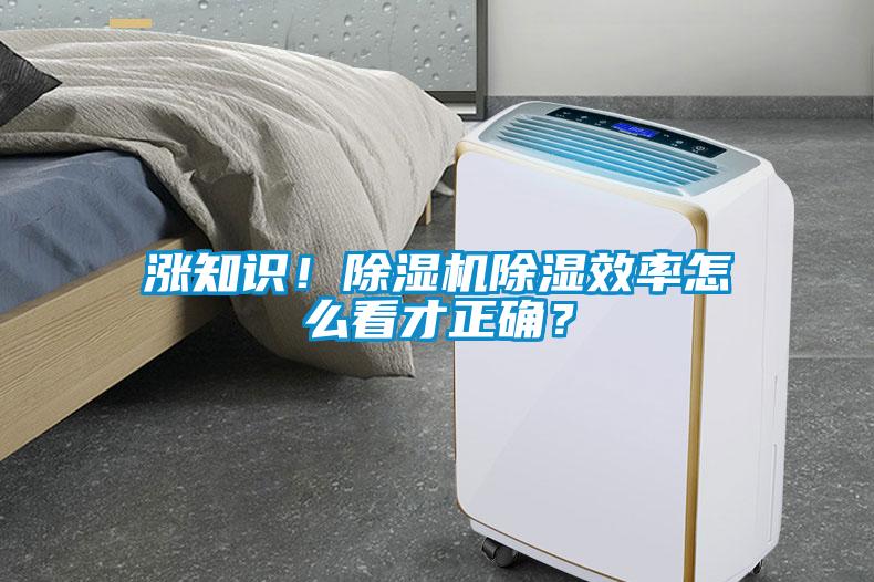 漲知識！除濕機除濕效率怎么看才正確？