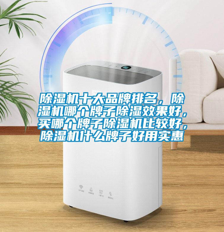 除濕機十大品牌排名，除濕機哪個(gè)牌子除濕效果好，買(mǎi)哪個(gè)牌子除濕機比較好，除濕機什么牌子好用實(shí)惠