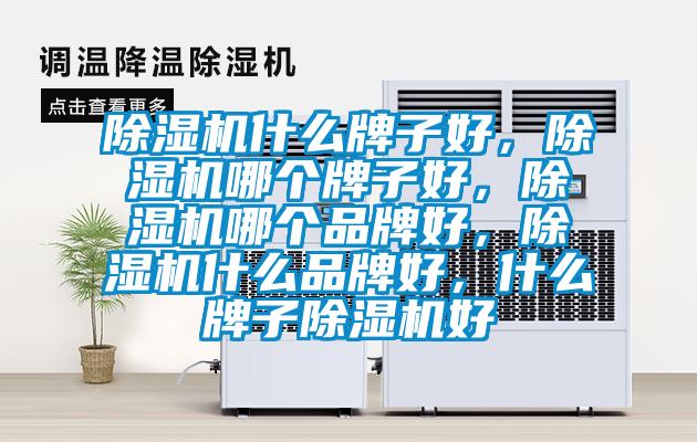 除濕機什么牌子好，除濕機哪個(gè)牌子好，除濕機哪個(gè)品牌好，除濕機什么品牌好，什么牌子除濕機好