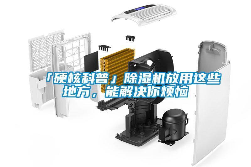 「硬核科普」除濕機放用這些地方，能解決你煩惱