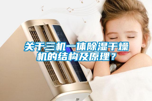 關(guān)于三機一體除濕干燥機的結構及原理？