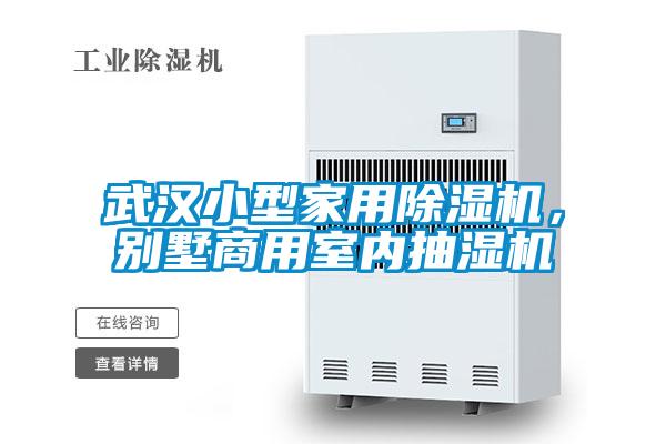 武漢小型家用除濕機，別墅商用室內抽濕機