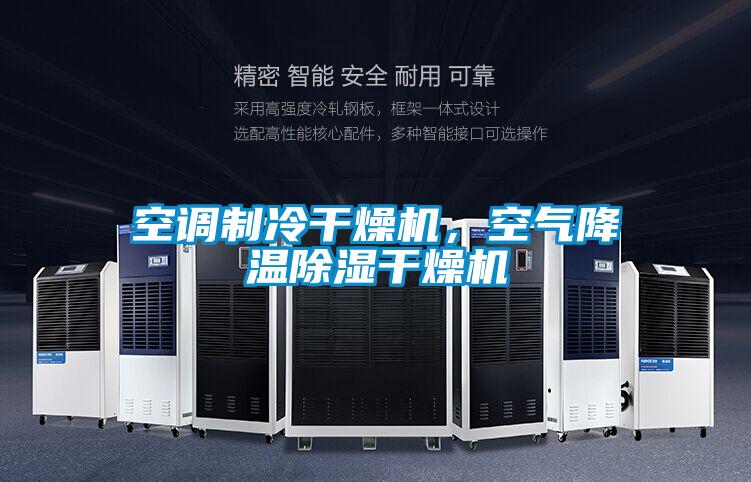 空調制冷干燥機，空氣降溫除濕干燥機