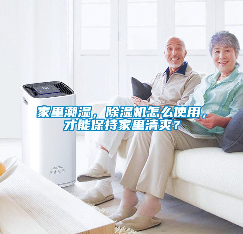 家里潮濕，除濕機怎么使用，才能保持家里清爽？