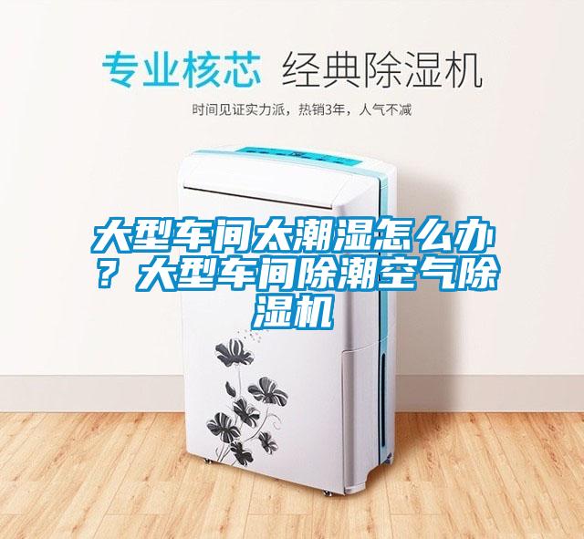 大型車(chē)間太潮濕怎么辦？大型車(chē)間除潮空氣除濕機