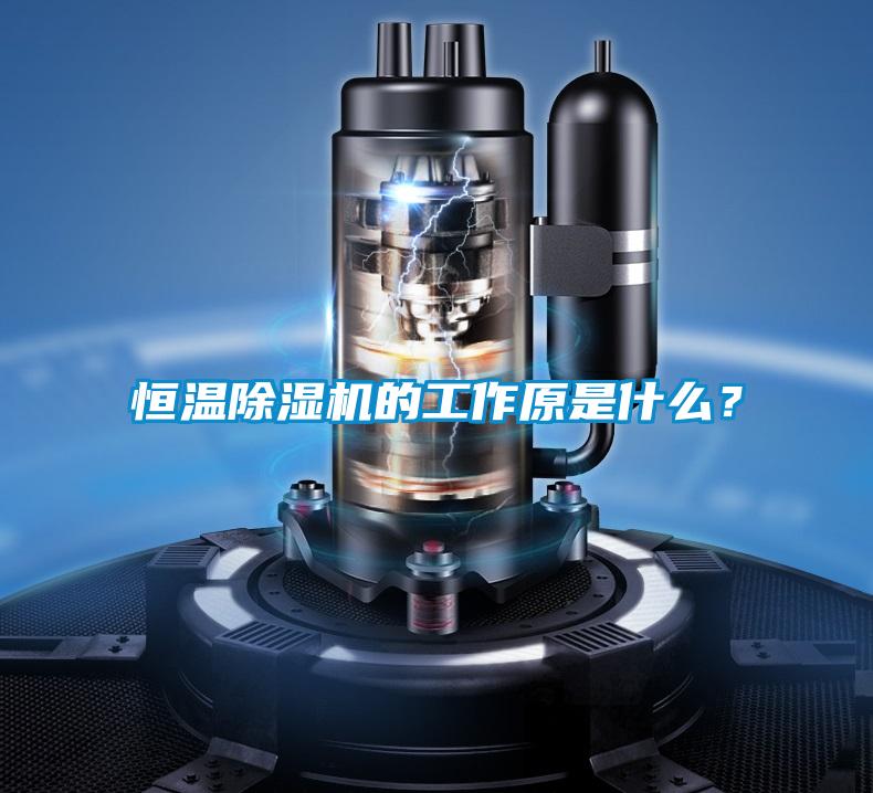 恒溫除濕機的工作原是什么？
