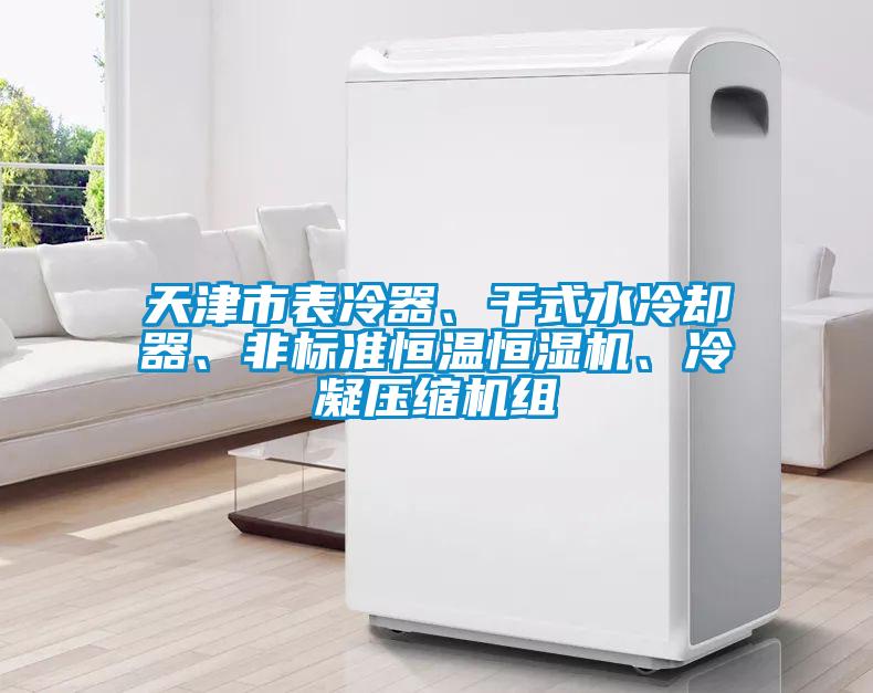 天津市表冷器、干式水冷卻器、非標準恒溫恒濕機、冷凝壓縮機組