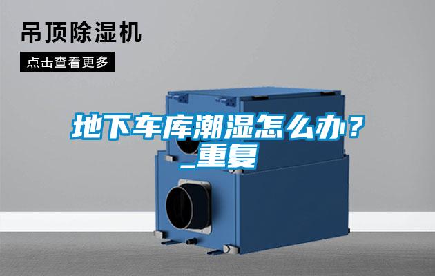地下車(chē)庫潮濕怎么辦？_重復