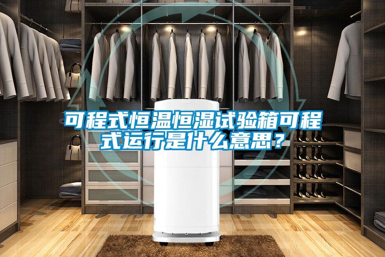可程式恒溫恒濕試驗箱可程式運行是什么意思？