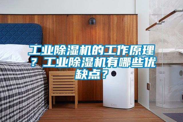工業(yè)除濕機的工作原理？工業(yè)除濕機有哪些優(yōu)缺點(diǎn)？