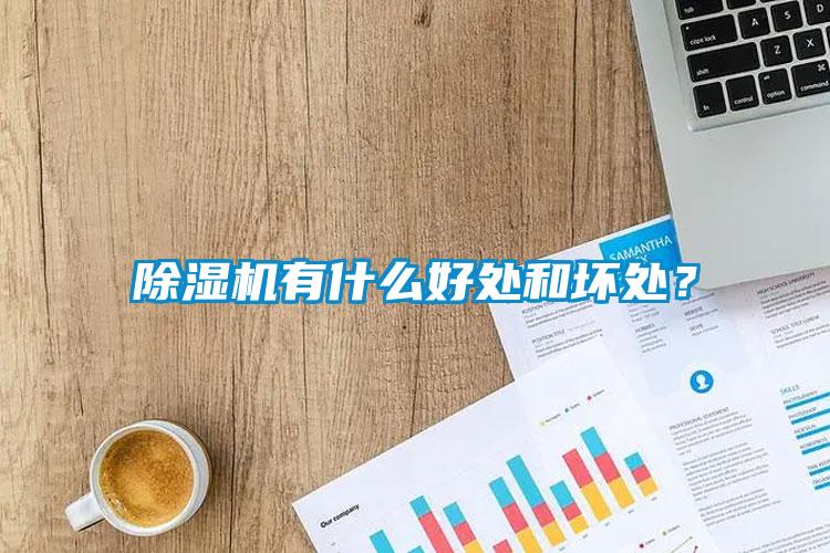 除濕機有什么好處和壞處？