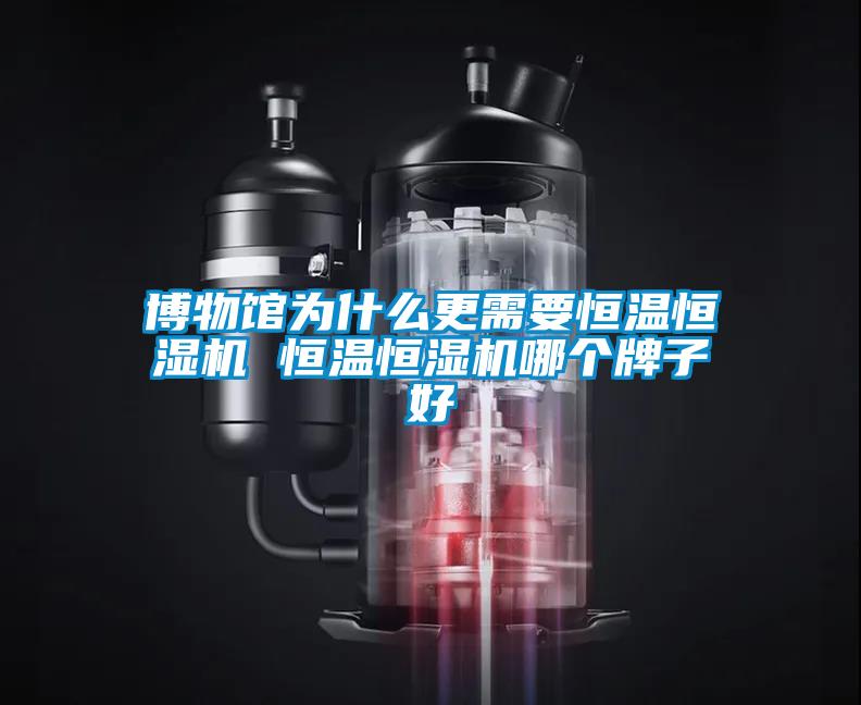 博物館為什么更需要恒溫恒濕機 恒溫恒濕機哪個(gè)牌子好