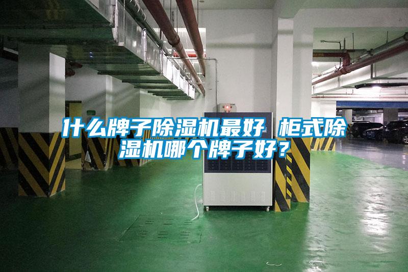 什么牌子除濕機最好 柜式除濕機哪個(gè)牌子好？