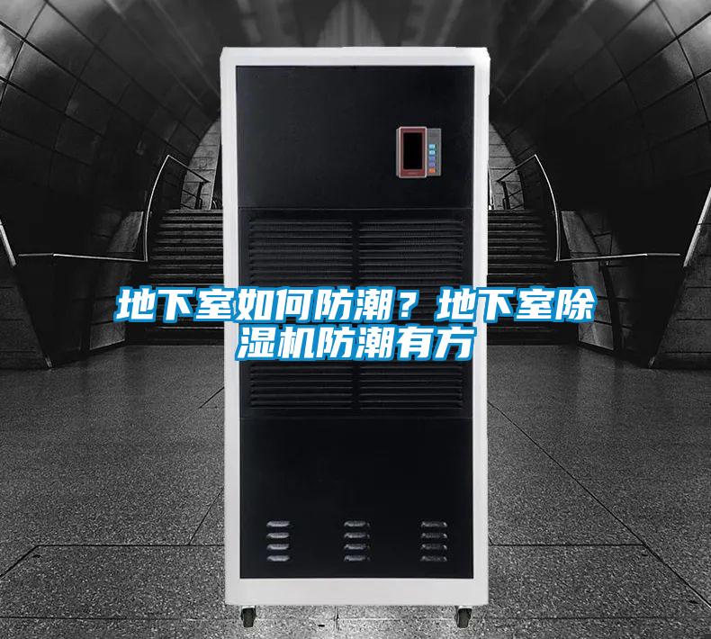 地下室如何防潮？地下室除濕機防潮有方