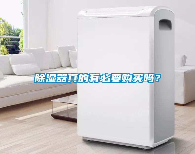 除濕器真的有必要購買(mǎi)嗎？