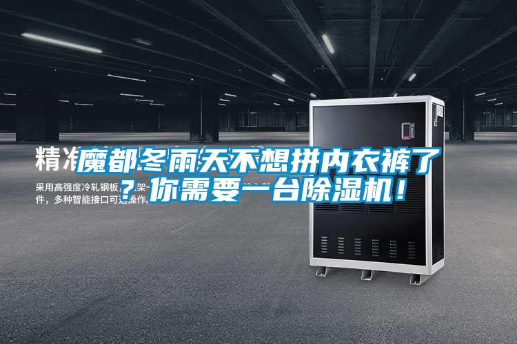 魔都冬雨天不想拼內衣褲了？你需要一臺除濕機！