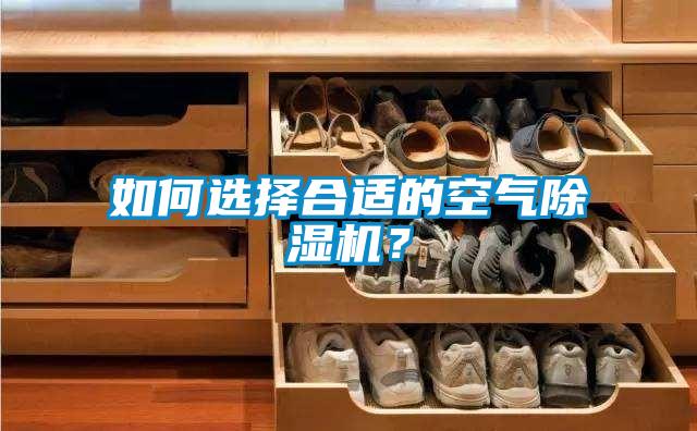 如何選擇合適的空氣除濕機？