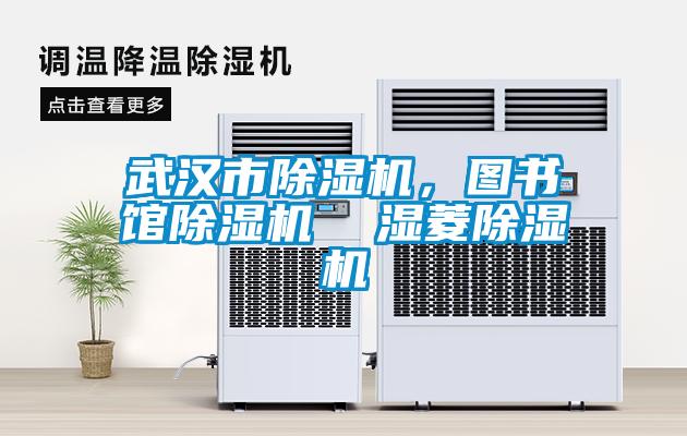 武漢市除濕機，圖書(shū)館除濕機  濕菱除濕機