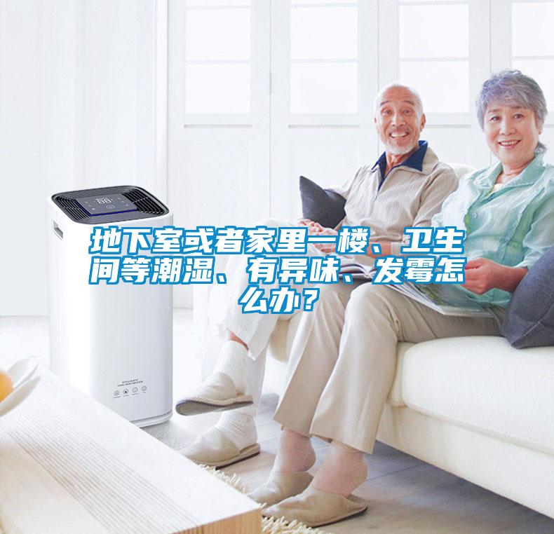 地下室或者家里一樓、衛生間等潮濕、有異味、發(fā)霉怎么辦？
