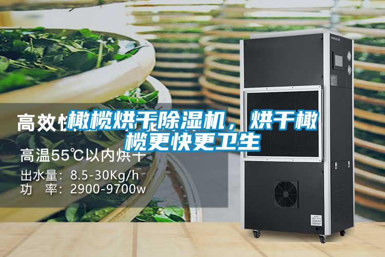 橄欖烘干除濕機，烘干橄欖更快更衛生