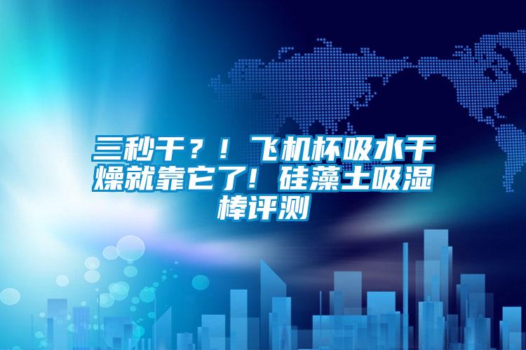 三秒干？! 飛機杯吸水干燥就靠它了! 硅藻土吸濕棒評測