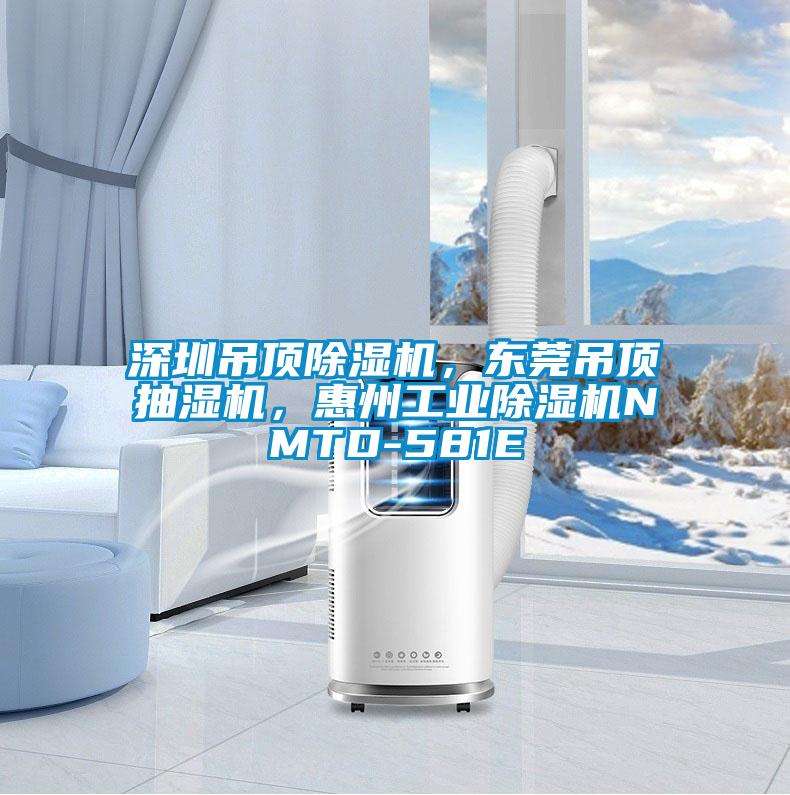 深圳吊頂除濕機，東莞吊頂抽濕機，惠州工業(yè)除濕機NMTD-581E