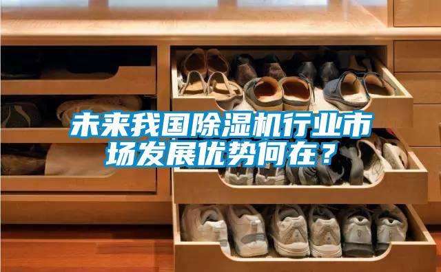 未來(lái)我國除濕機行業(yè)市場(chǎng)發(fā)展優(yōu)勢何在？