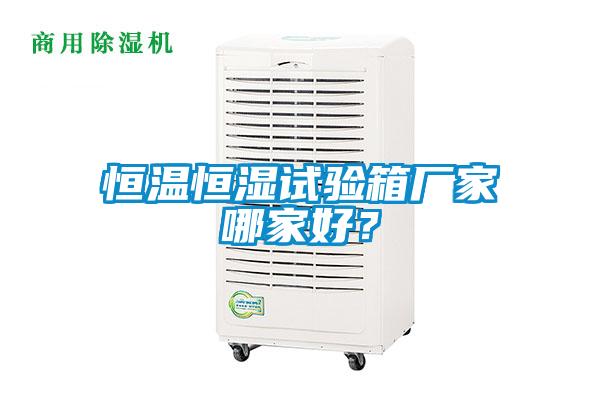 恒溫恒濕試驗箱廠(chǎng)家哪家好？
