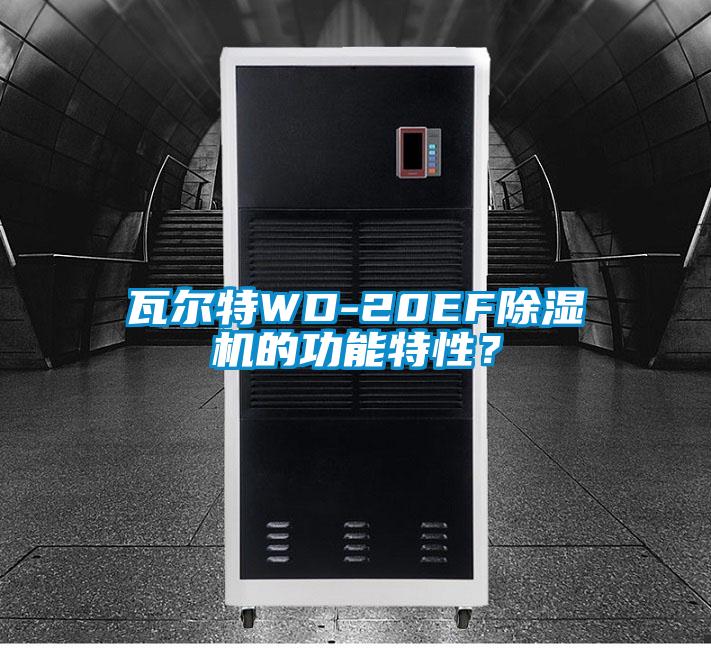 瓦爾特WD-20EF除濕機的功能特性？