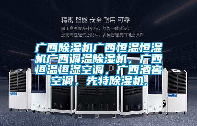廣西除濕機廣西恒溫恒濕機廣西調溫除濕機，廣西恒溫恒濕空調，廣西酒窖空調，先特除濕機,