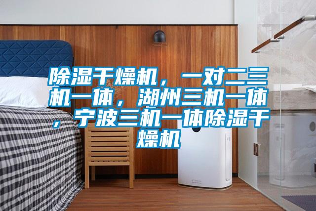 除濕干燥機，一對二三機一體，湖州三機一體，寧波三機一體除濕干燥機